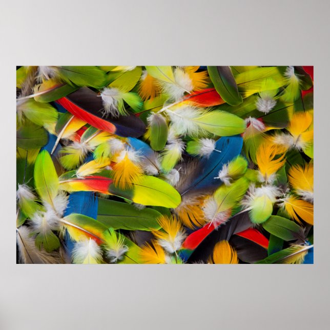 Pile of colourful feathers poster (Front)