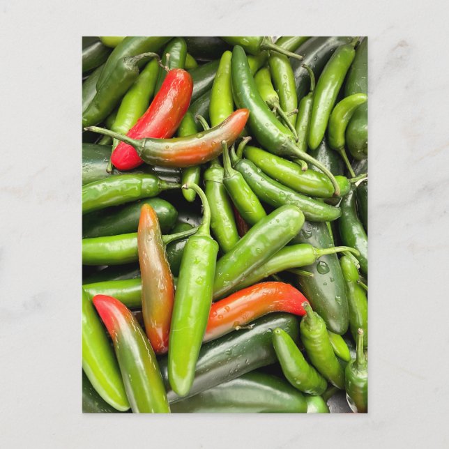 Pile Of Green Spicy Peppers Postcard (Front)