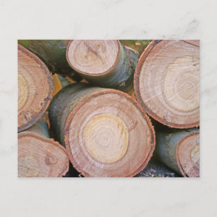 Pile of logs postcard