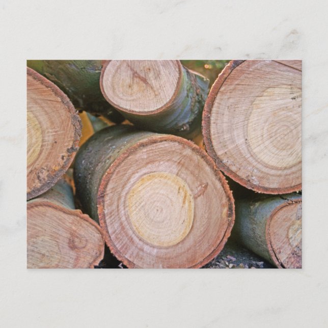 Pile of logs postcard (Front)