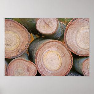 Pile of logs poster