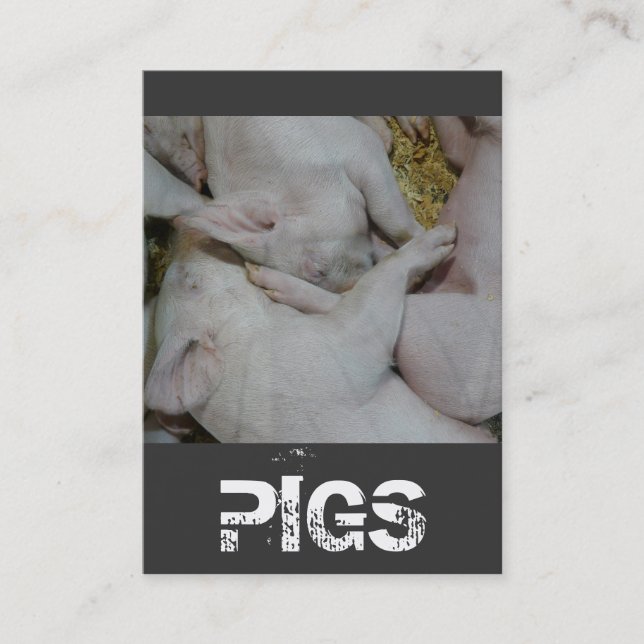 Pile of Piglets Pig Farm or Ranch Business Card (Front)