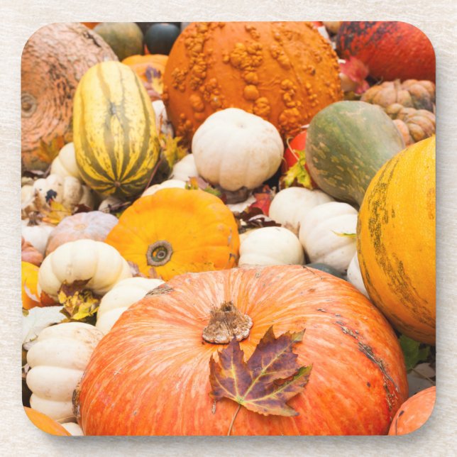 Pile Of Pumpkins And Squash Coaster (Front)