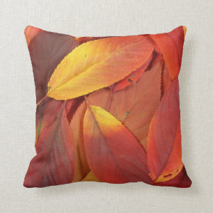 Pile of red autumn leaves closeup cushion