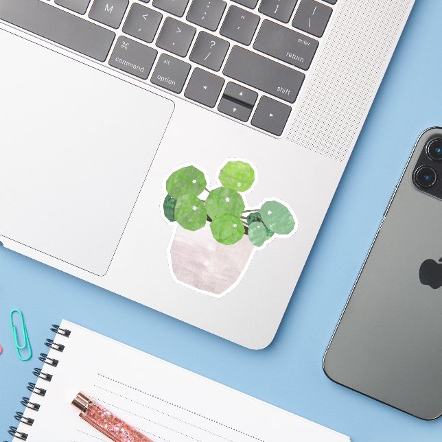 Pilea - house plant (Laptop w/ iPhone)
