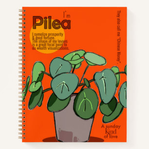 Pilea Notebook
