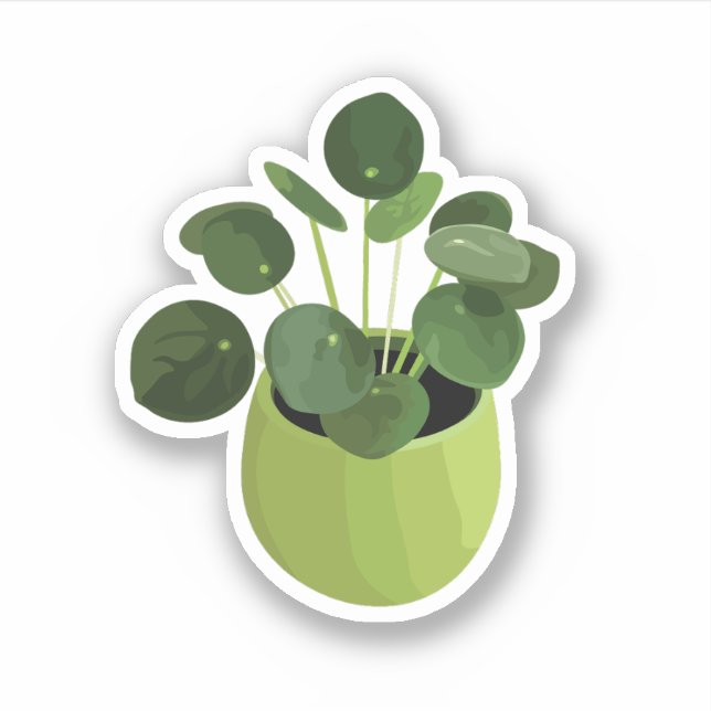 Pilea Peperomioides House Plant Sticker (Front)