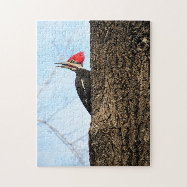 Pileated Woodpecker - Bird - Puzzle (Vertical)