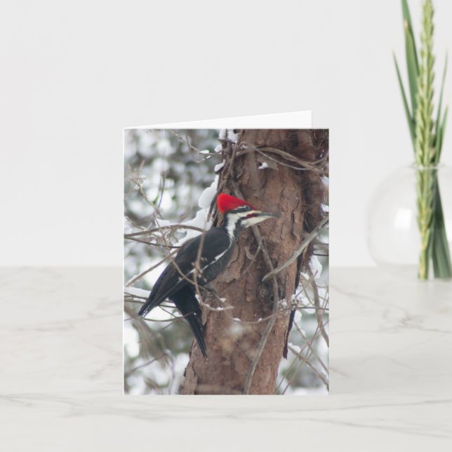 Pileated Woodpecker Card (Front)