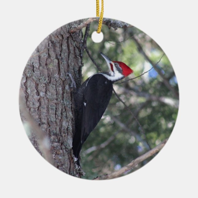 Pileated Woodpecker Ceramic Tree Decoration (Front)