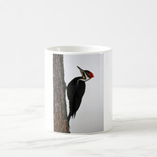 pileated woodpecker coffee mug