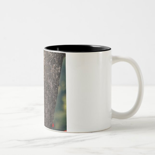 Pileated Woodpecker Coffee Mug (Right)
