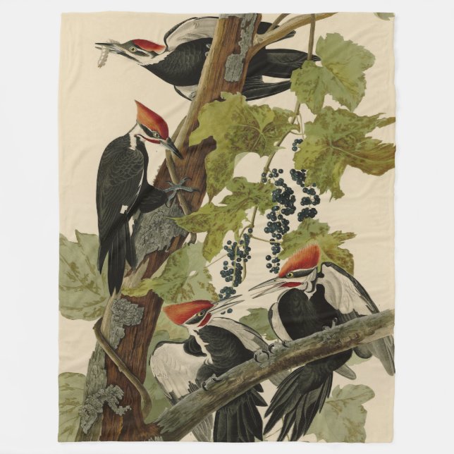 Pileated Woodpecker from Audubon Birds of America Fleece Blanket (Front)