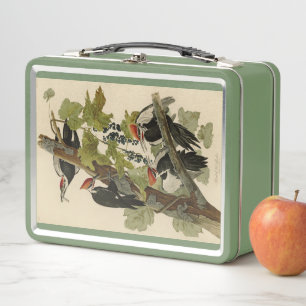 Pileated Woodpecker from Audubon Birds of America Metal Lunch Box