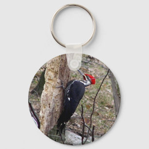 Pileated Woodpecker Key Ring