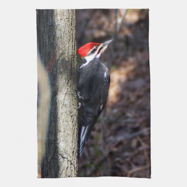 Pileated Woodpecker Kitchen Towel (Vertical)