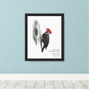 Pileated Woodpecker, Male Bird Canvas Print