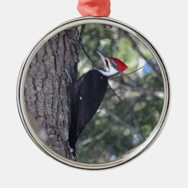 Pileated Woodpecker Metal Tree Decoration (Front)