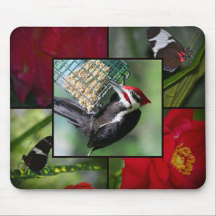 Pileated woodpecker mouse pad