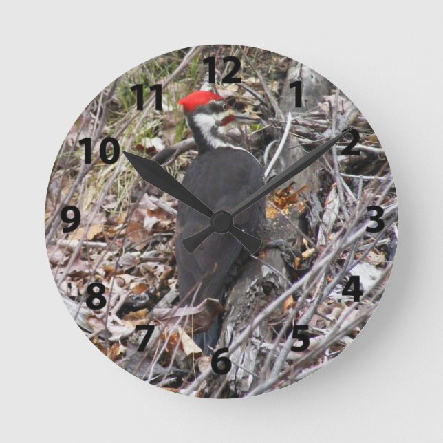 Pileated Woodpecker Pecking Wall Clock (Front)