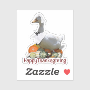 Pilgrim Duck Thanksgiving