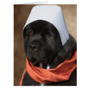 Pilgrim Greeting Card