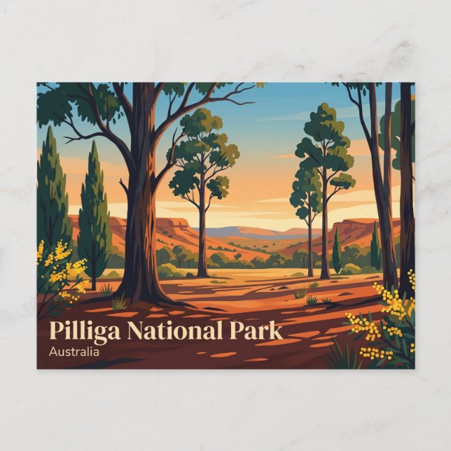 Pilliga National Park Australia Postcard (Front)