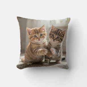 Pilloe Cushion