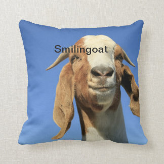 Pillow