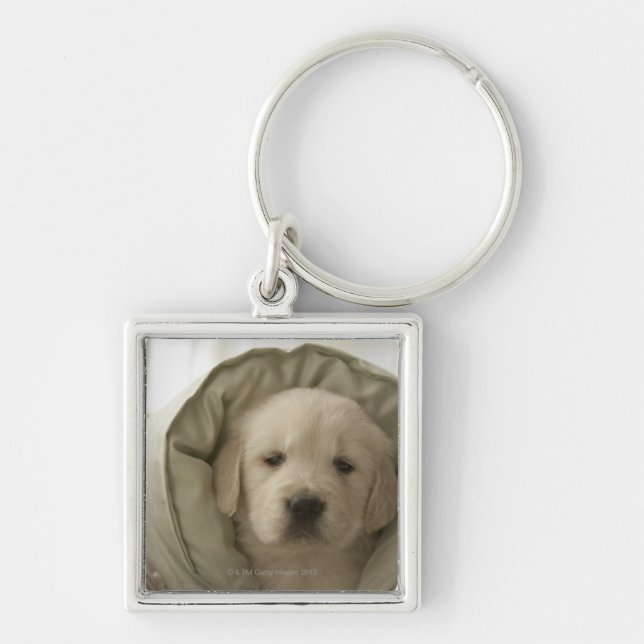 Pillow around dog key ring (Front)