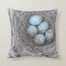 Pillow Bird's Nest Photography Nature Eggs