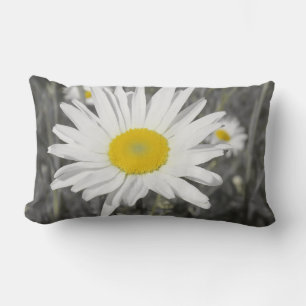 pillow,black, white, grey, still life, lumbar cushion