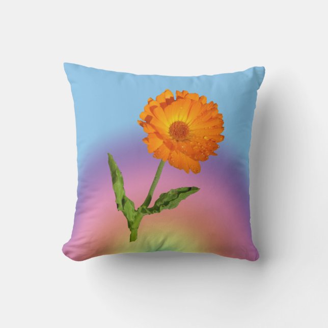 Pillow - Calendula and Rainbow (Front)