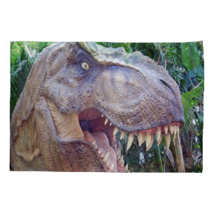 Pillow Case Dinosaur