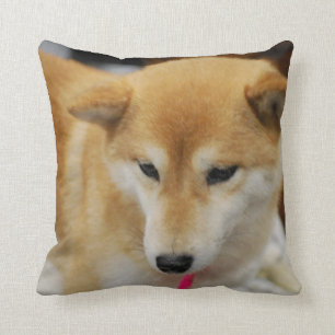 pillow - Customised