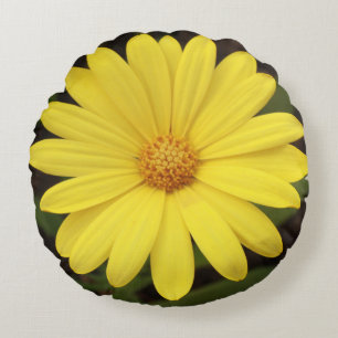 Pillow, daisy like flower in round shape cushion