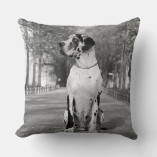 Pillow Great Dane