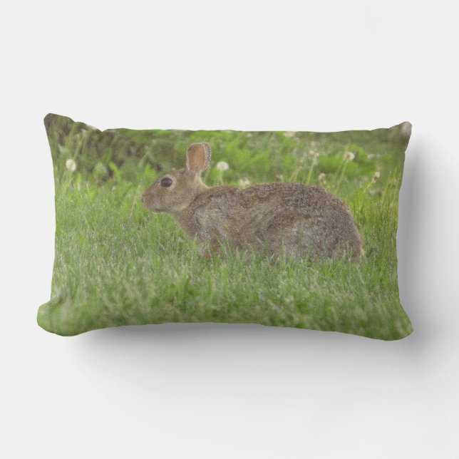 Pillow: Life Gentleness Lumbar Cushion (Front)