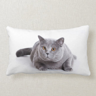 Pillow Lumbar - cat
