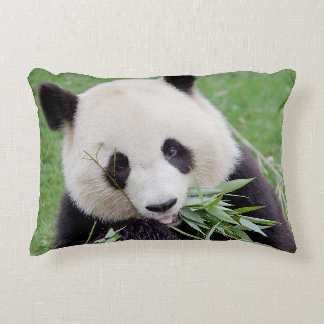 Pillow photo giant panda. (Front)