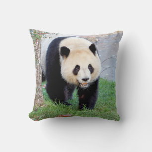 Pillow photo giant panda  5. throw pillow