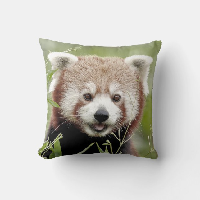 Pillow photo red panda. (Front)