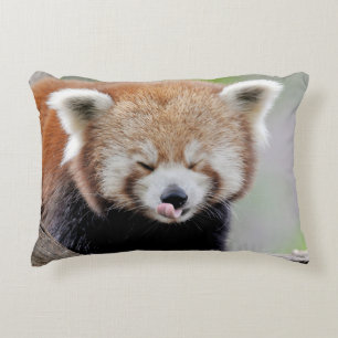 Pillow photo red panda.