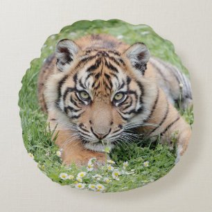 Pillow Photo tiger cat , animals 01 . round pillow