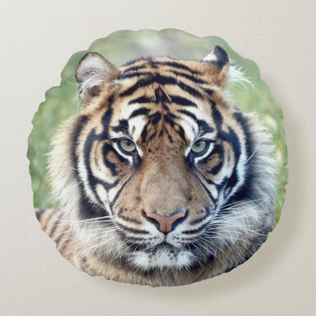 Pillow Photo tiger cat , animals 02 . round pillow (Front)