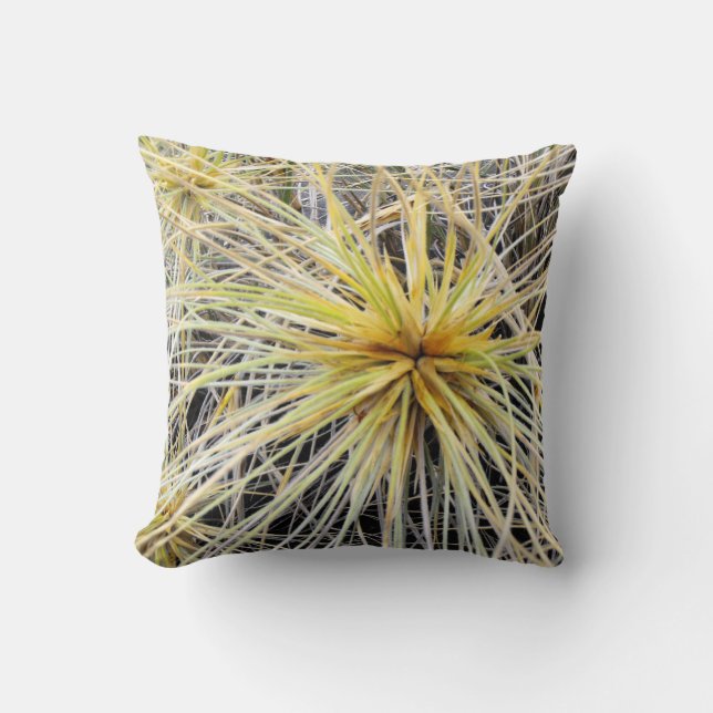 Pillow Shows Spinifex Grass (Front)
