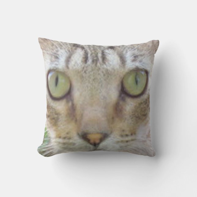 Pillow - Tabby Cat Face (Front)