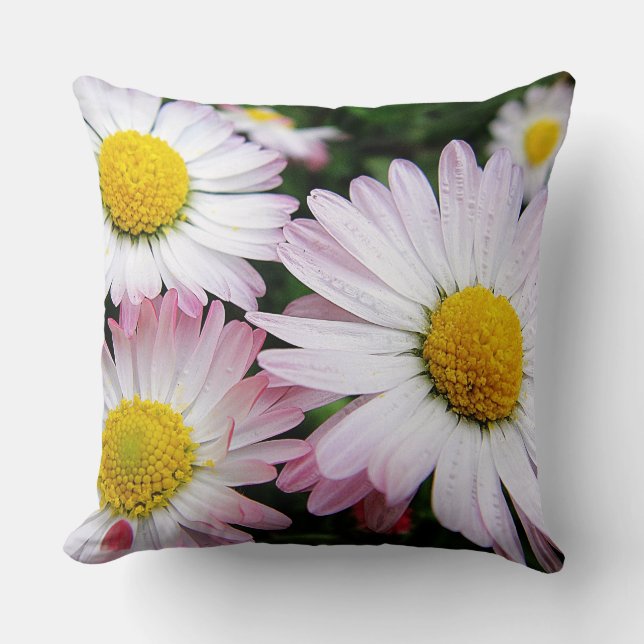 Pillow three cute, pink daisies (Front)