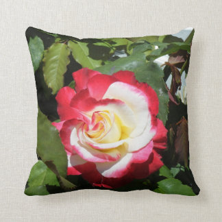 Pillow w/ red tipped gorgeous Balboa Island rose