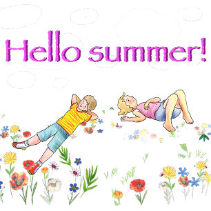 pillow with a sleeping red cat in a deck chair